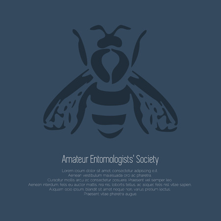 蜂の折り紙 の写真素材 画像素材 Image