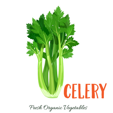 7 907 セロリ のイラスト素材 ベクター 123rf 7 907 セロリ のイラスト素材 ベクター 123rf