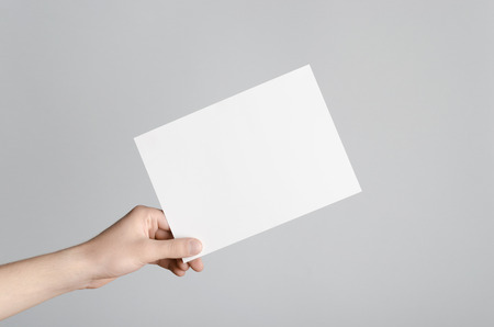blank flyer