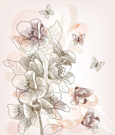 Peach flower: Bưu thiếp với nghệ thuật vẽ tay hoa anh đào