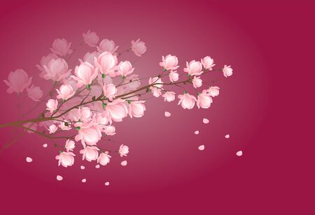 暗いピンク背景にマグノリアの光ピンクの花と木の枝のイラスト の写真素材 画像素材 Image 暗いピンク背景にマグノリアの光ピンクの花と木の枝のイラスト の写真素材 画像素材 Image