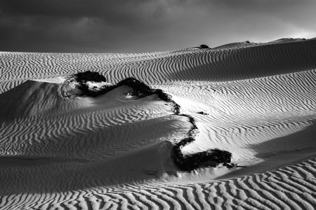 Low sun late afternoon, with sand patterns and textures in the natural park, corralejo, fuerteventura, canary islands, spain Stock Photo