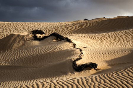 Low sun late afternoon, with sand patterns and textures in the natural park, corralejo, fuerteventura, canary islands, spain Stock Photo