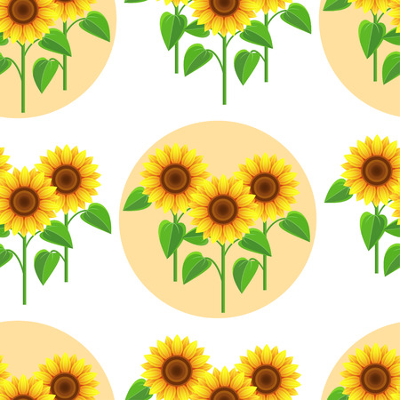 Sun flower: Schöne Natur Hintergrund nahtlose Muster weiß mit gelb - orange Sonnenblumen und Kreisen. Floral helle nahtlose Muster mit stilisierten Sommerblumen. Trendy romantische stilvollen Tapeten. Vektor-Illustration Illustration