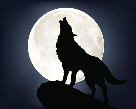 39 949 Wolf Vektorgrafiken Cliparts Und Illustrationen Kaufen 123rf