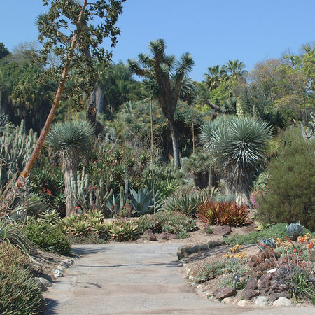 Pasadena Usa 21 Marz 2003 Die Huntington Botanical Gardens