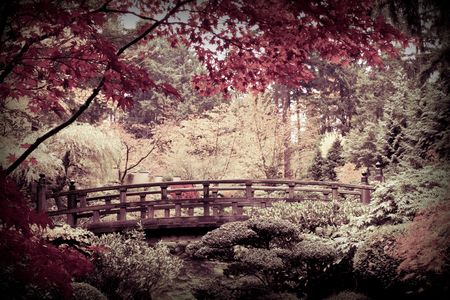 Japanese Garden Cherry Blossom Bridge japanese garden images & stock pictures. royalty free japanese Japanese Garden Cherry Blossom Bridge japanese garden images & stock pictures. royalty free japanese