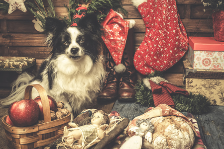 christmas cards baby jesus and cute pet indoor with rustic christmas decoration shabby style - Rustic Christmas Cards christmas cards baby jesus and cute pet indoor with rustic christmas decoration shabby style - Rustic Christmas Cards
