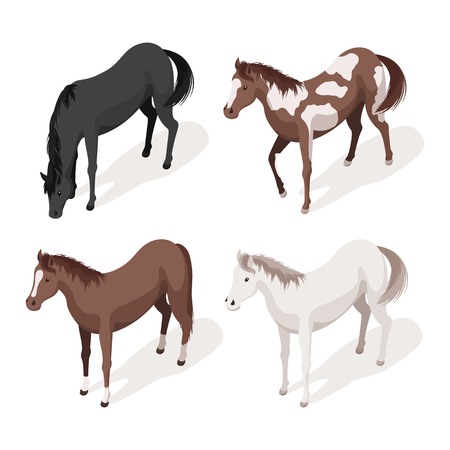 等尺性 3 D ベクトル大小の白い馬のイラストです Web のアイコン 白い背景上に分離 のイラスト素材 ベクタ Image