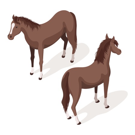 等尺性 3 D ベクトルの馬のイラスト セットです Web のアイコン 白い背景上に分離 のイラスト素材 ベクタ Image