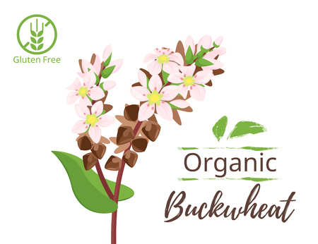 1 2 ソバ のイラスト素材 ベクター 123rf 1 2 ソバ のイラスト素材 ベクター 123rf