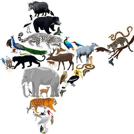 Vector india fauna map, flat elements. animals, birds, reptiles, insects big set. geography infographic illustration