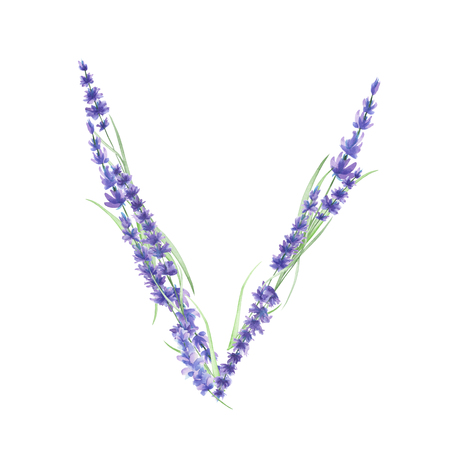 水彩ラベンダー花の大文字 T 分離ホワイト バック グラウンド ウェディング デザイン お祭りのための英語のアルファベットと結婚式の装飾 カードに描かれた手 の写真素材 画像素材 Image 水彩ラベンダー花の大文字 T 分離ホワイト バック グラウンド ウェディング デザイン お祭りのための英語のアルファベットと結婚式の装飾 カードに描かれた手 の写真素材 画像素材 Image