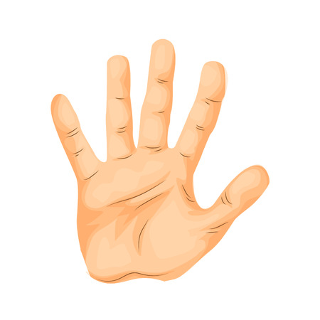 Main De L Homme Doigts Illustration De Dessin Anime Couleur Et Couleur Clip Art Libres De Droits Vecteurs Et Illustration Image Main De L Homme Doigts Illustration De Dessin Anime Couleur Et Couleur Clip Art Libres De Droits Vecteurs Et Illustration Image