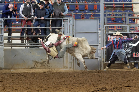 4 915 雄牛乗り の写真素材 ストックフォト 123rf 4 915 雄牛乗り の写真素材 ストックフォト 123rf