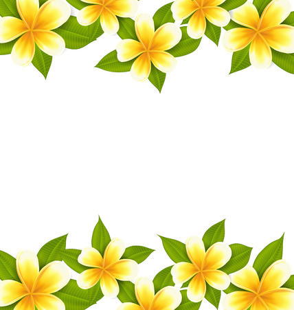 プルメリア エキゾチックな花 ラスターと Oornament で作られたイラスト美しいフレーム の写真素材 画像素材 Image プルメリア エキゾチックな花 ラスターと Oornament で作られたイラスト美しいフレーム の写真素材 画像素材 Image