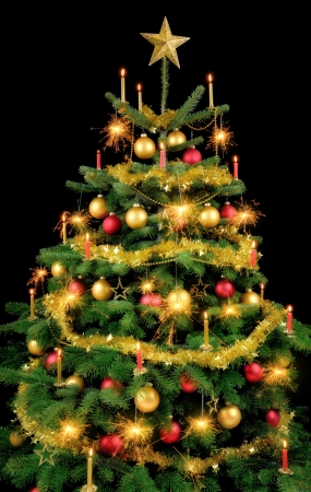 elegant christmas tree with shiny ornaments and candles isolated on black stock photo 23988341 - Elegant Christmas Ornaments elegant christmas tree with shiny ornaments and candles isolated on black stock photo 23988341 - Elegant Christmas Ornaments