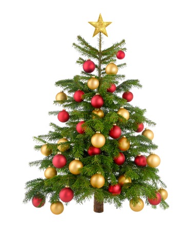 スタジオ撮影をきれいな 豪華な自然のクリスマス ツリーの赤とゴールドのつまらないとトップスターで飾られた 白で隔離されます の写真素材 画像素材 Image スタジオ撮影をきれいな 豪華な自然のクリスマス ツリーの赤とゴールドのつまらないとトップスターで飾られた 白で隔離されます の写真素材 画像素材 Image