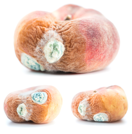 Set of three peach with growing mold, isolated on white backgrou