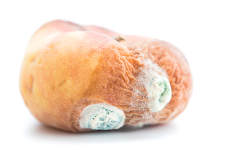 Mold growing on old peach, isolated on white background Stock Photo