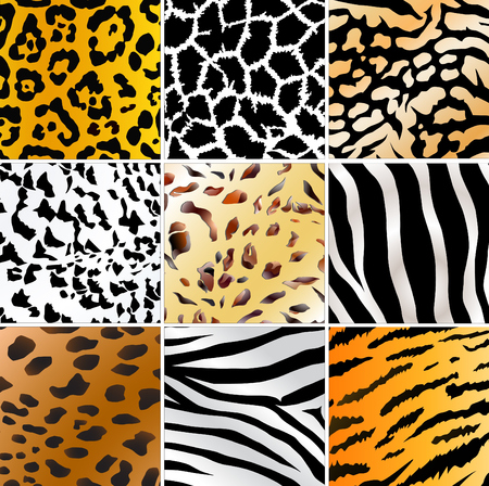 Set of nine different wild animals skin patterns