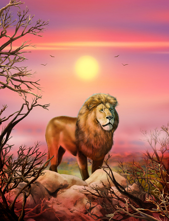 ライオン 白い背景の上のアフリカのライオン 手描き リアルなイラスト の写真素材 画像素材 Image ライオン 白い背景の上のアフリカのライオン 手描き リアルなイラスト の写真素材 画像素材 Image