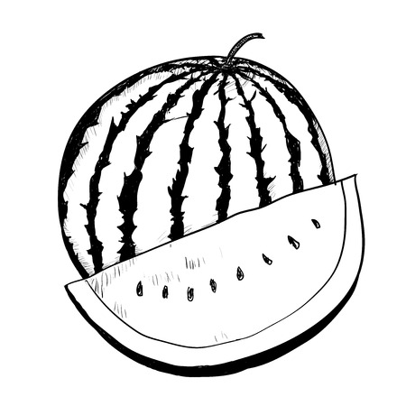手描きスケッチ スタイル スイカとスイカのスライスのセットです のイラスト素材 ベクタ Image 手描きスケッチ スタイル スイカとスイカのスライスのセットです のイラスト素材 ベクタ Image