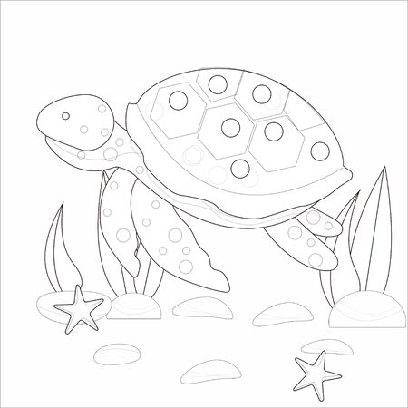 adult turtle stock illustrations cliparts and royalty free