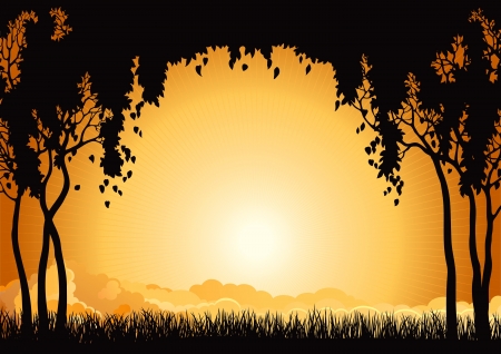 Sunset landscape vector: Sunset cảnh Vector hình bóng của nhiều loại cây và cỏ ở bầu trời với ánh nắng mặt trời và tia nắng Hình minh hoạ
