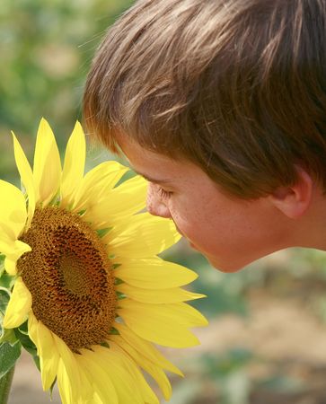 Boy Looking at a Big Sunflower