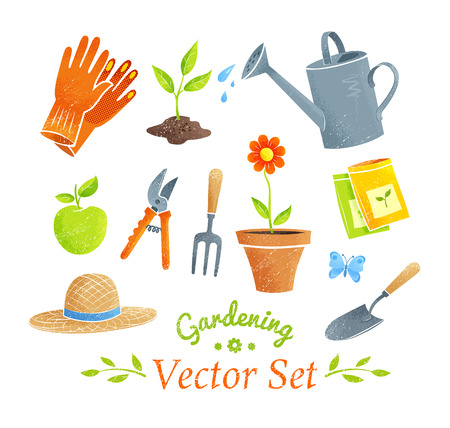 Collection of gardening equipment and plants.