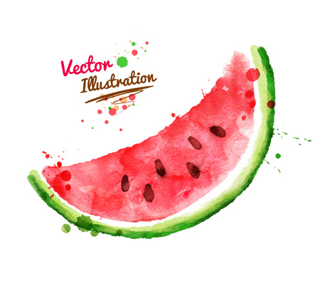watermelon: Vector màu nước vẽ tay dưa hấu.