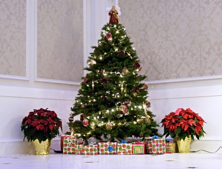 Large Indoor Christmas Tree With Presents And Plants Stock Photo Large Indoor Christmas Tree With Presents And Plants Stock Photo