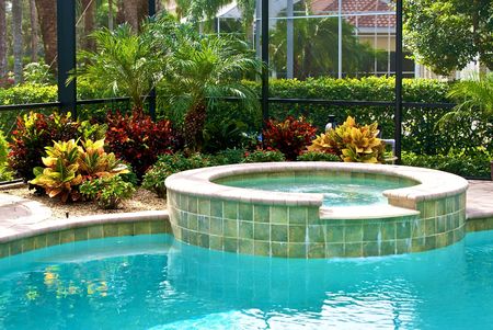 detail of swimming pool surrounded by plants and screened in lanai.