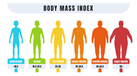 Mannen bmi. body mass index infographics voor mannen met een normaal gewicht en obesitas. dikke en magere silhouetten. diagram voor medische diagnostiek. vector ondergewicht of adipositas diagnose Stockfoto