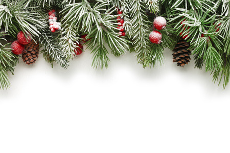 Snow Covered Christmas Tree Branches Background Stock Photo Picture And Royalty Free Image 34064887 Snow Covered Christmas Tree Branches Background Stock Photo Picture And Royalty Free Image 34064887