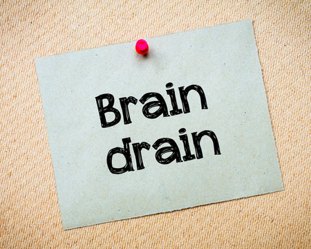 essays on brain drain essays on brain drain