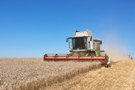 A modern combine harvester working a wheat field - 87169086