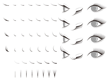 28 621 まつげ のイラスト素材 ベクター 123rf
