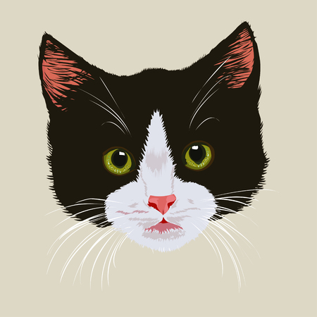 8 163 猫の鼻 のイラスト素材 ベクター 123rf 8 163 猫の鼻 のイラスト素材 ベクター 123rf