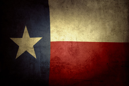 Wzt Parche De La Bandera Del Estado De Texas Wzt Parche De La Bandera Del Estado De Texas