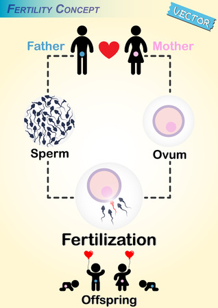 Diagram of sperm, vanessa hudgensvagina