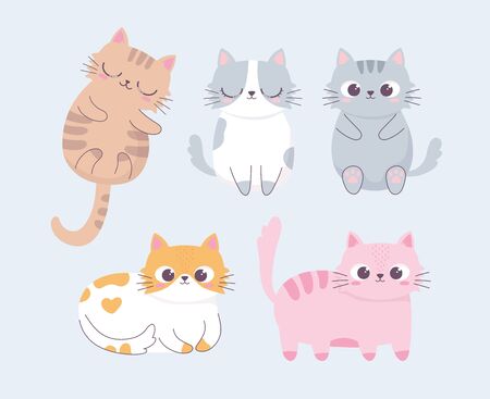 gato engraçado dos desenhos animados, ilustração vetorial bonito