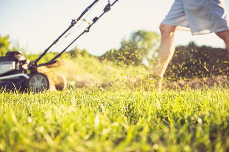 lawn mowing images