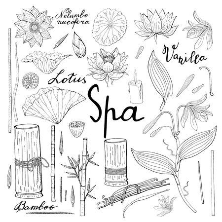 Spa set of vanilla orchid, lotus flower, bamboo, floral decoration, botanical design elements Stock Photo