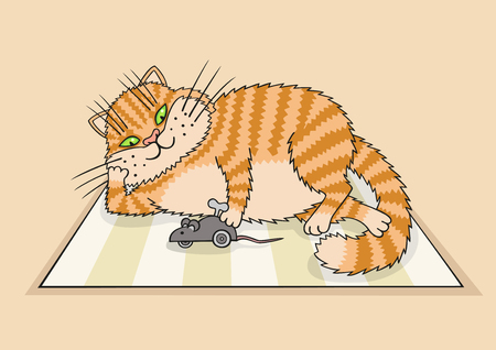 The cat is on the Mat and having fun with a mechanical mouse.