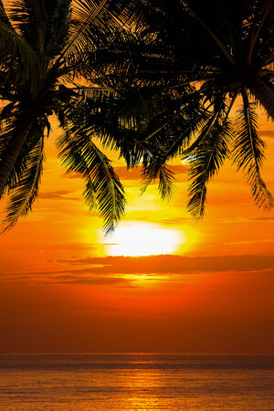 ココナッツの木と海の上の美しいビーチの夕日 の写真素材 画像素材 Image