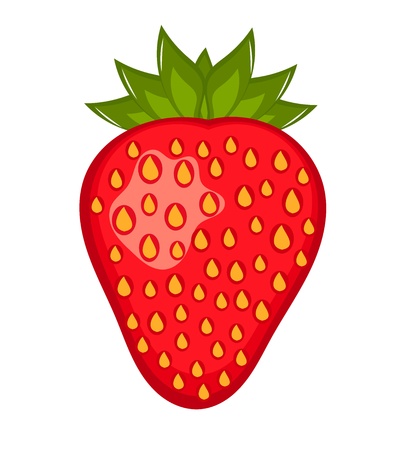 Strawberry fruit illustration