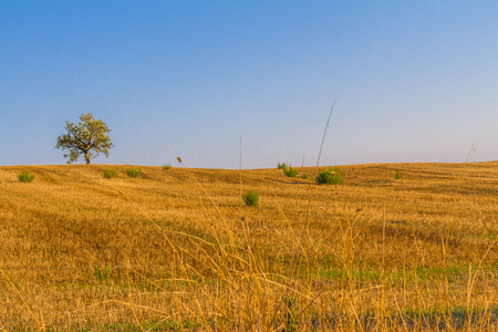 Paesaggio di campagna toscana