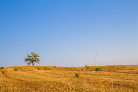 Paesaggio di campagna toscana Stock Photo